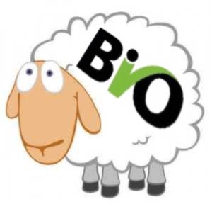 Biowoll